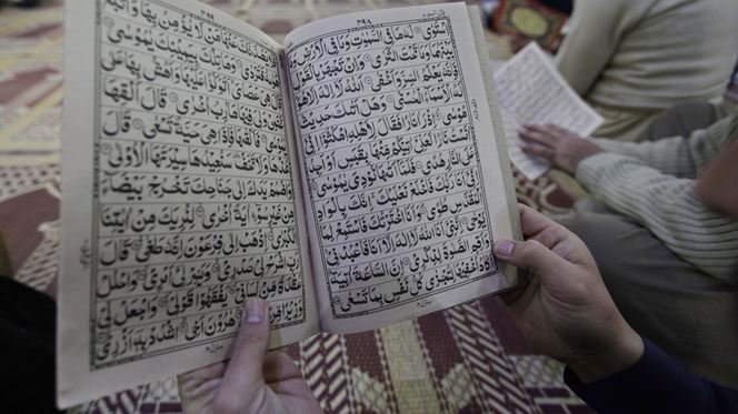 “Muçulmanos traumatizados e fartos” de tanta violência