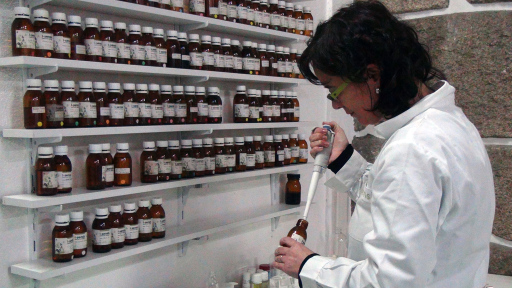 Metade das PME não sobrevive mais de dois anos