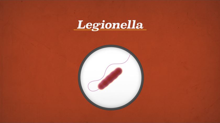 O que é a legionella? Como se transmite? Perguntas e respostas sobre a bactéria que mata em Portugal