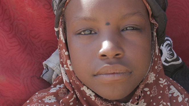 O rapto que colocou o Boko Haram no mapa