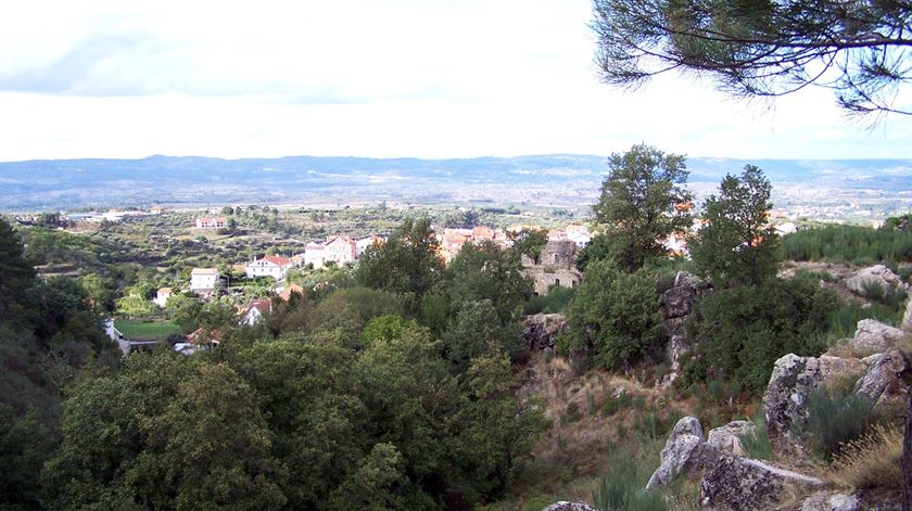 Vergílio Ferreira. Reportagem de Liliana Carona