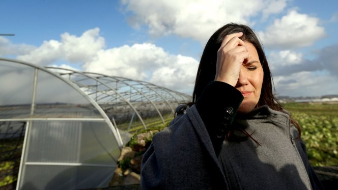 Governo divide-se sobre criação de taxa para alimentos nocivos Governo divide-se sobre criação de taxa para alimentos nocivos