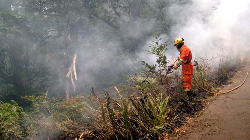 Calheta, Madeira, incêndio. Foto: Marília Freitas