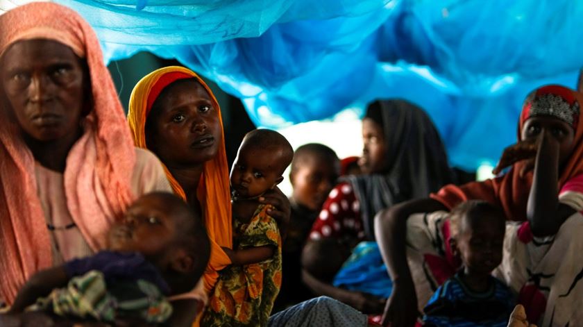 Campo de Refugiados de Dadaab, no Quénia. Foto: Dai Kurokawa/EPA