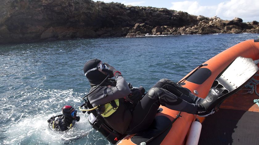 Organismos são recolhidos em Sagres, catalogados e imortalizados. Foto: Luís Forra/ Lusa