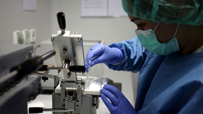 Baixo investimento em ciência. "Um país que desperdiça os seus melhores está completamente perdido"