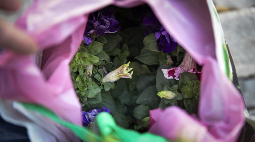 Saco de compras de uma das passadeiras