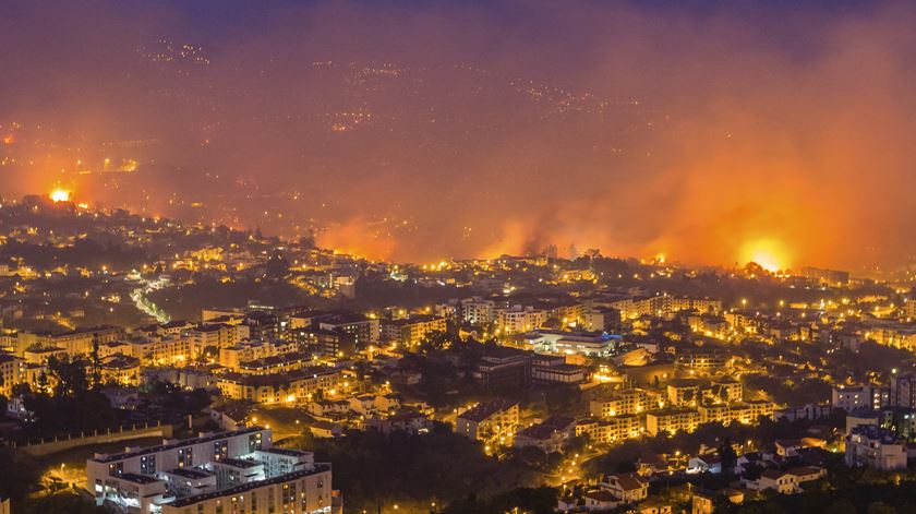 O incêndio no Funchal fez avultados danos pessoais e materiais. Ouvintes e leitores da Renascença foram solidários. Foto: Gregório Cunha/Lusa