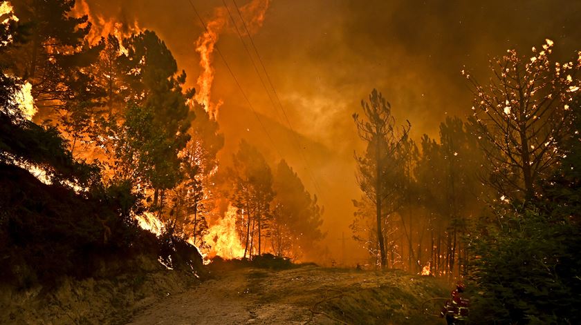 Fogo em São Pedro do Sul. Foto: Nuno André Ferreira/Lusa