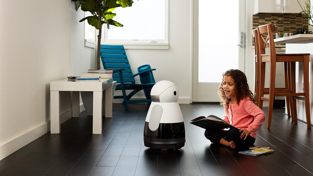 Irá a inteligência artificial dominar o mundo? "O que temo é a estupidez artificial"