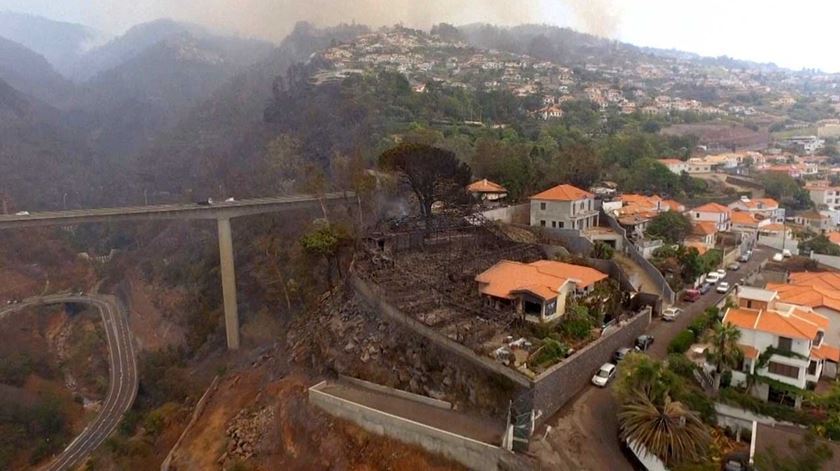 madeira foto aérea depois dos incêndios tratada Foto: DR