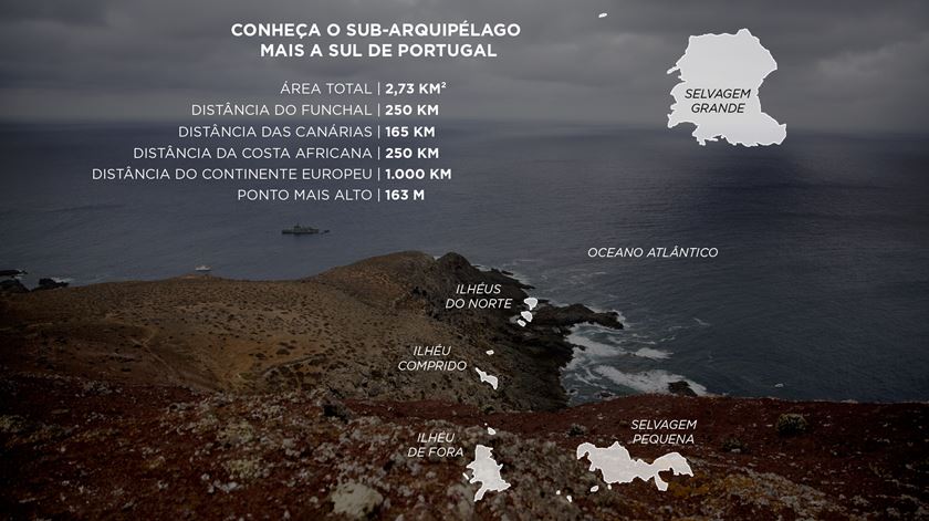MAPA_SELVAGENS
